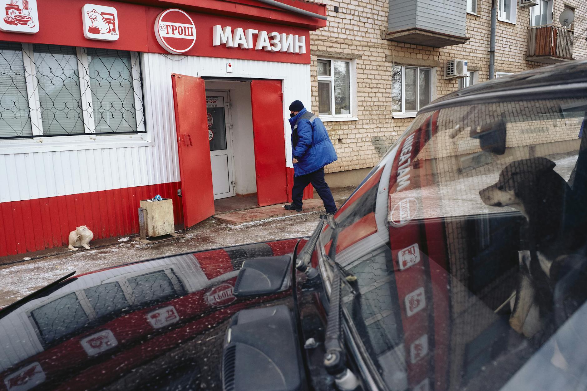Ζώα με Άποψη: Η Καταναλωτική Τρέλα Μέσα από τα Μάτια τους